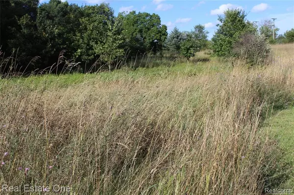 Gregory, MI 48137,9500 Iosco Ridge Drive