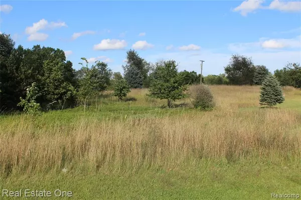 Gregory, MI 48137,9500 Iosco Ridge Drive