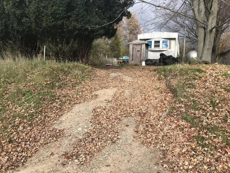 1172 W Millbrook Road, Blanchard, MI 49310