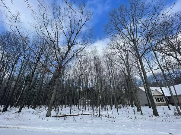 Canadian Lakes, MI 49346,8908 Longview Drive