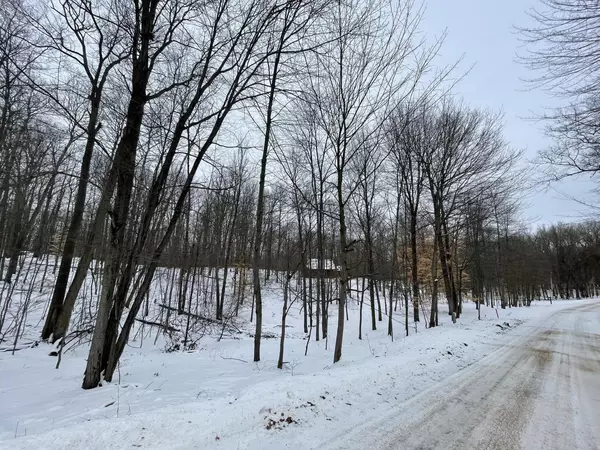 Canadian Lakes, MI 49346,10069 Sante Fe Trail