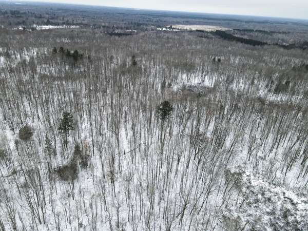 Sears, MI 49679,80 Acres 7 Mile Road