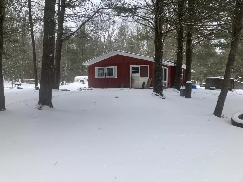 9840 S Spruce Road, Idlewild, MI 49642