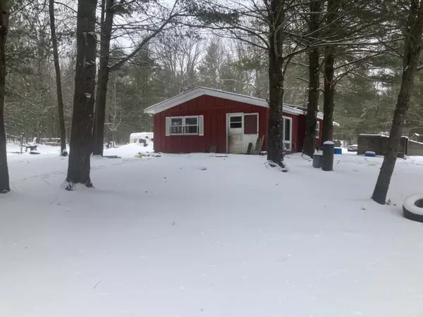 Idlewild, MI 49642,9840 S Spruce Road