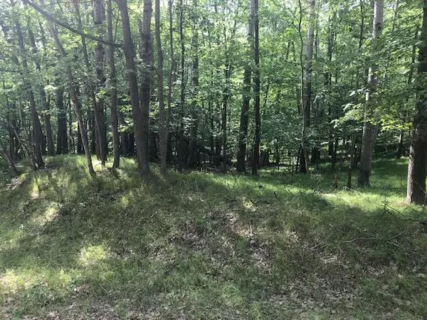 Canadian Lakes, MI 49346,11992 Cheyenne Wells Trail