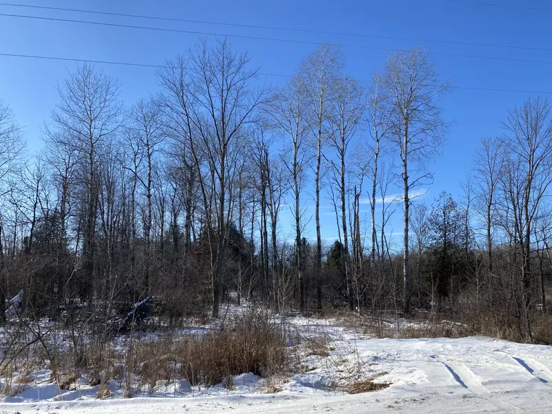 S Rolland Road, Blanchard, MI 49310