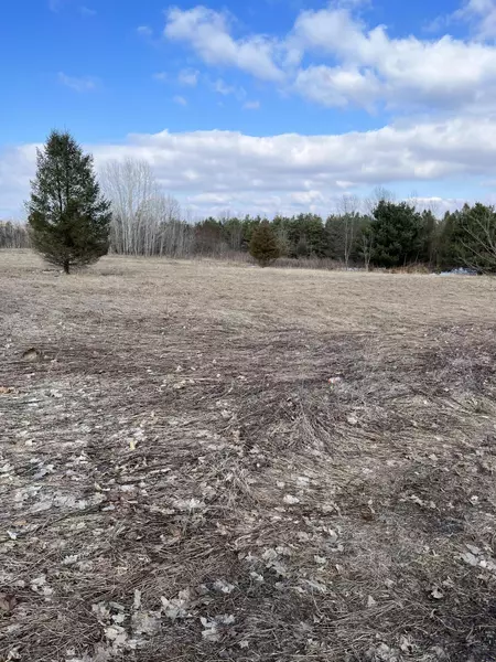 V/L 102nd Avenue, Grand Junction, MI 49056