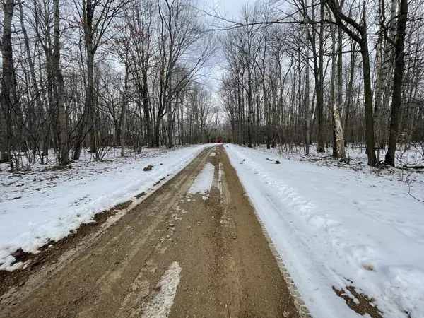 Canadian Lakes, MI 49346,6300 Cedaredge Drive