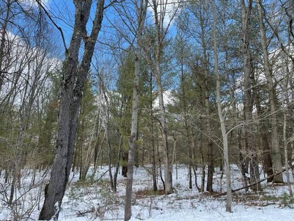 Bitely, MI 49309,10 +/- Acres Beaver Road