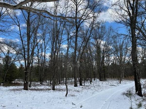 10+/- Acres Mundy Avenue, Bitely, MI 49309