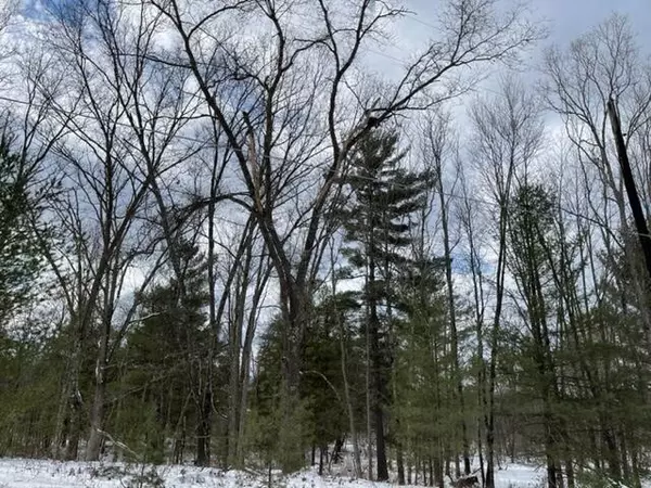 Bitely, MI 49309,10+/- Acres Mundy Avenue