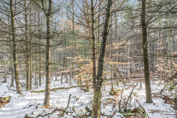 West Olive, MI 49460,16671 Haven Woods Court