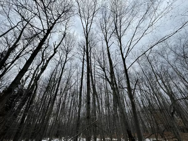 Canadian Lakes, MI 49346,12082 Trail Creek Drive