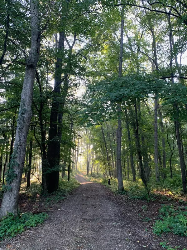 Homer, MI 49245,6178 Vanwert Road