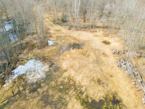 Paw Paw, MI 49079,V/L 42nd Avenue