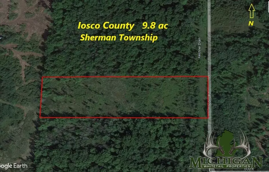0VL Rhodes Rd, National City, MI 48748
