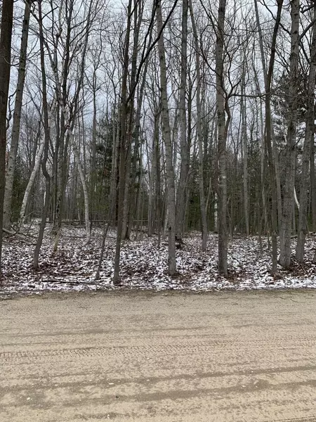 Range Street, Mears, MI 49436