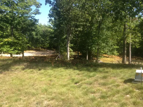 21 - Lot Novadoc Boulevard, Mears, MI 49436