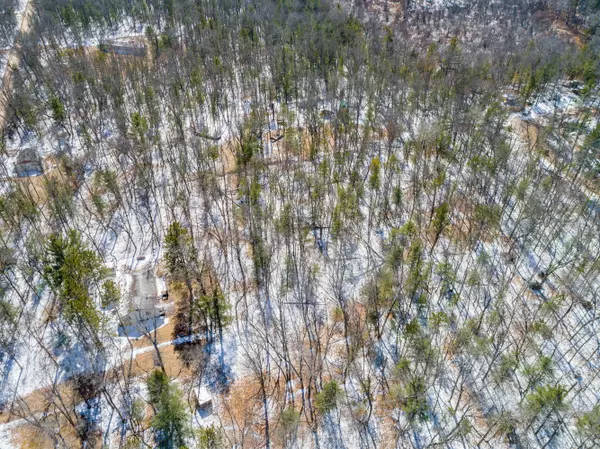 Idlewild, MI 49642,v/l Poplar