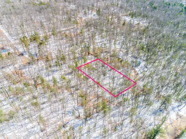 Idlewild, MI 49642,v/l Poplar