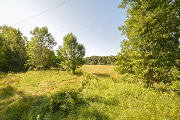 Marshall, MI 49068,L N Drive