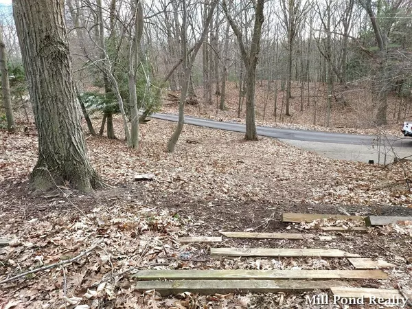 West Olive, MI 49460,W of 16958 Lake Avenue