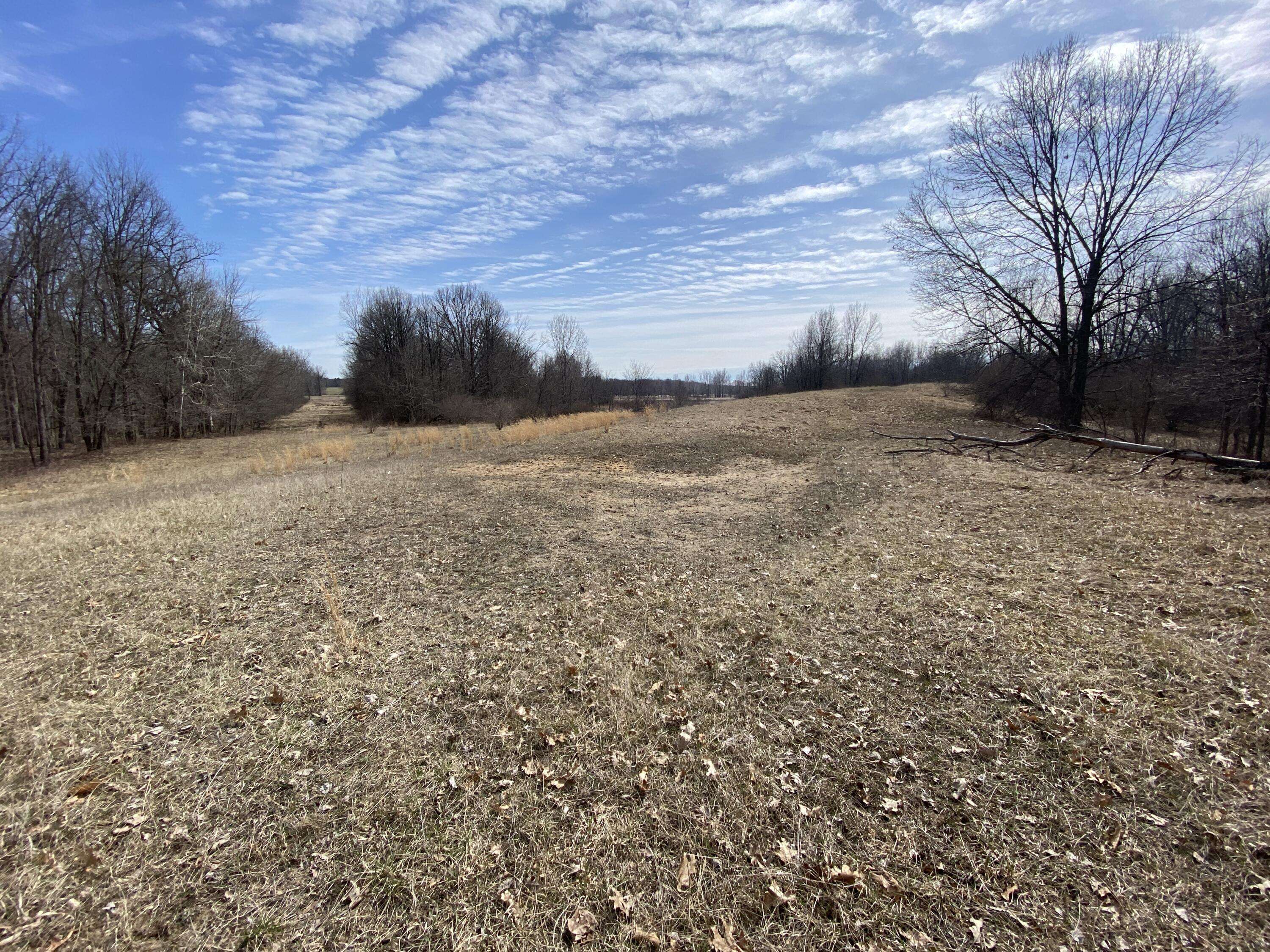 Iosco Road, Webberville, MI 48892