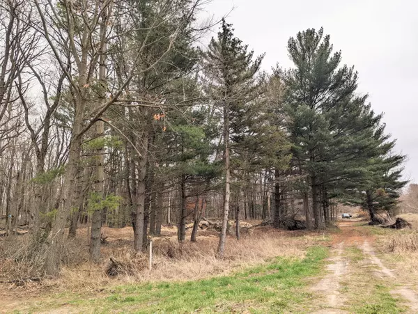 Litchfield, MI 49252,7509 Genesee Road