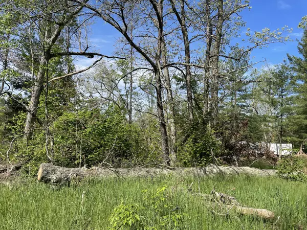 Idlewild, MI 49642,VL S Forman