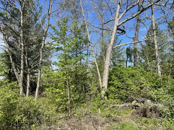 Idlewild, MI 49642,VL S Forman