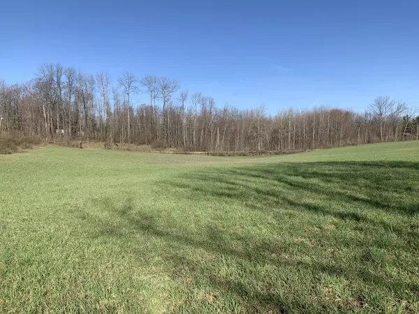 30 Acres S Bonney Road, Chase, MI 49623