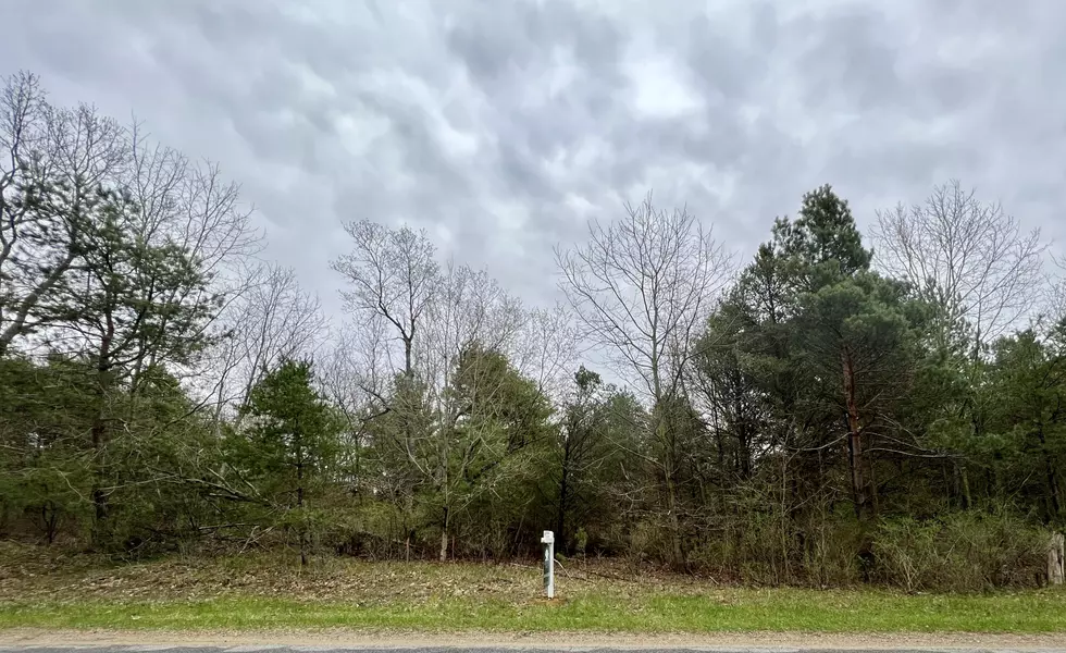 0 Olive Shore Avenue #C, West Olive, MI 49460