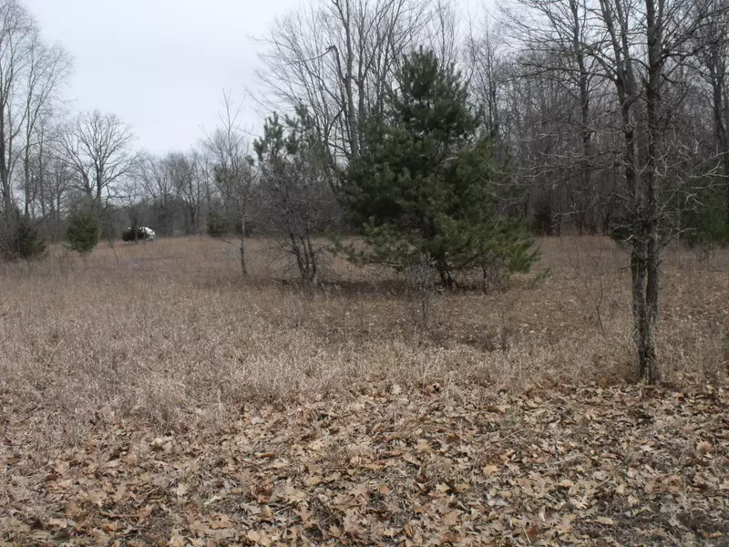 Lot 118 Indian Trail Drive, Hersey, MI 49639