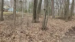 Free Soil, MI 49411,Vacant N Poplar Road