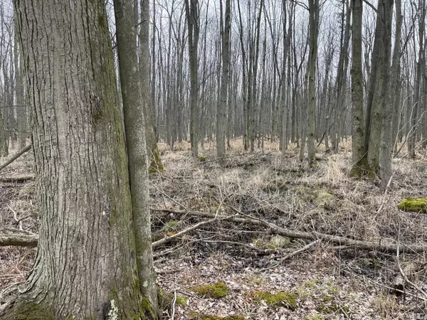 Blanchard, MI 49310,0 N County Line Road