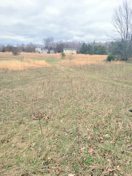 Pueblo Trail, Buckley, MI 49620