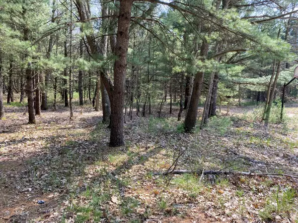 Free Soil, MI 49411,3615 E Free Soil Road