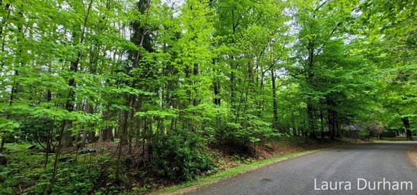 South Haven, MI 49090,Beech Drive #Lot 45