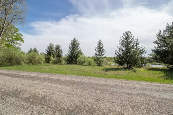 Canadian Lakes, MI 49346,11557 Port Stewart Drive