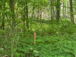 Ravenna, MI 49451,F Behler Road