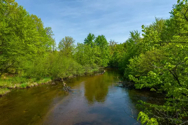 Canadian Lakes, MI 49346,6314 Abbey Lane