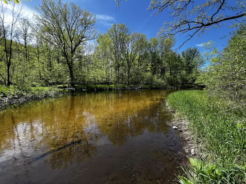 10 Acres Miles Rd, Stanton, MI 48888