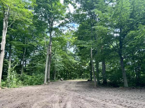 Edwardsburg, MI 49112,19951 Starbrick Street