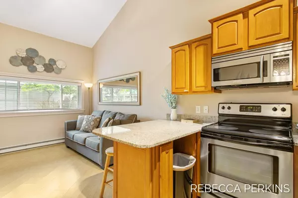 Saugatuck, MI 49453,842 Lake Street ##3