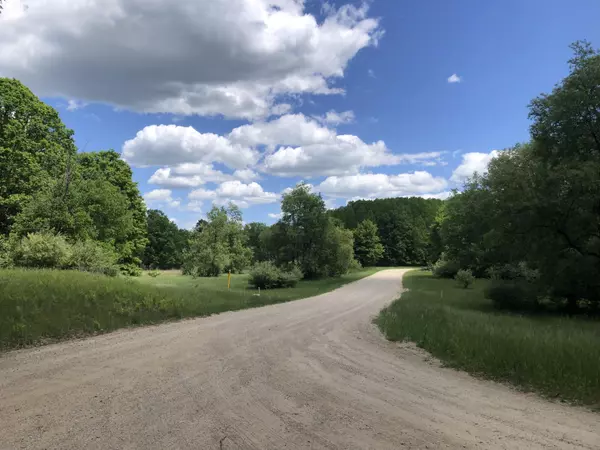 Canadian Lakes, MI 49346,10381 Mountain View Trail #485