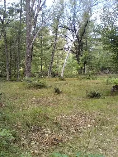 Idlewild, MI 49642,Harmony Boulevard