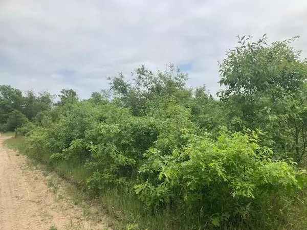 Idlewild, MI 49642,Parcel C E 38th Street