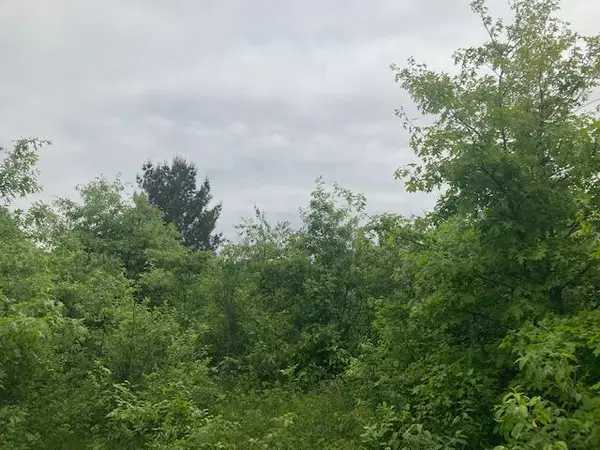 Idlewild, MI 49642,Parcel C E 38th Street