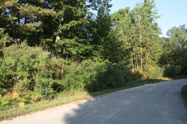 Lot 2 Trillum Lane #2, Big Rapids, MI 49307