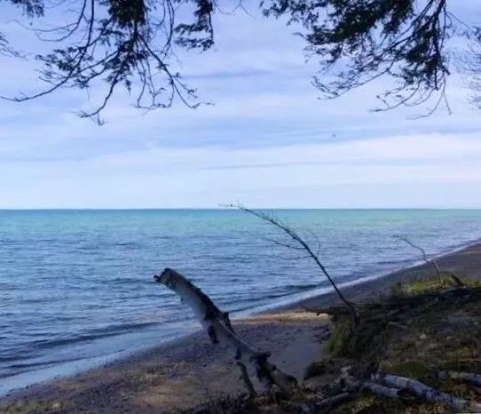 East Side Dr. Lot 16, Beaver Island, MI 49782